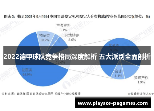2022德甲球队竞争格局深度解析 五大派别全面剖析