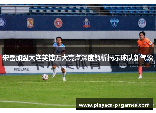 宋岳加盟大连英博五大亮点深度解析揭示球队新气象