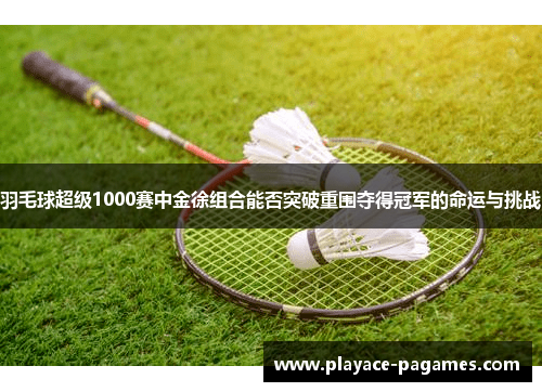 羽毛球超级1000赛中金徐组合能否突破重围夺得冠军的命运与挑战