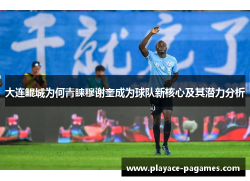 大连鲲城为何青睐穆谢奎成为球队新核心及其潜力分析