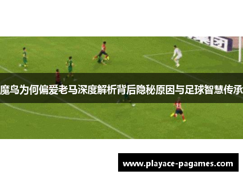 魔鸟为何偏爱老马深度解析背后隐秘原因与足球智慧传承